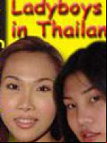 Crazy Asian Shemales